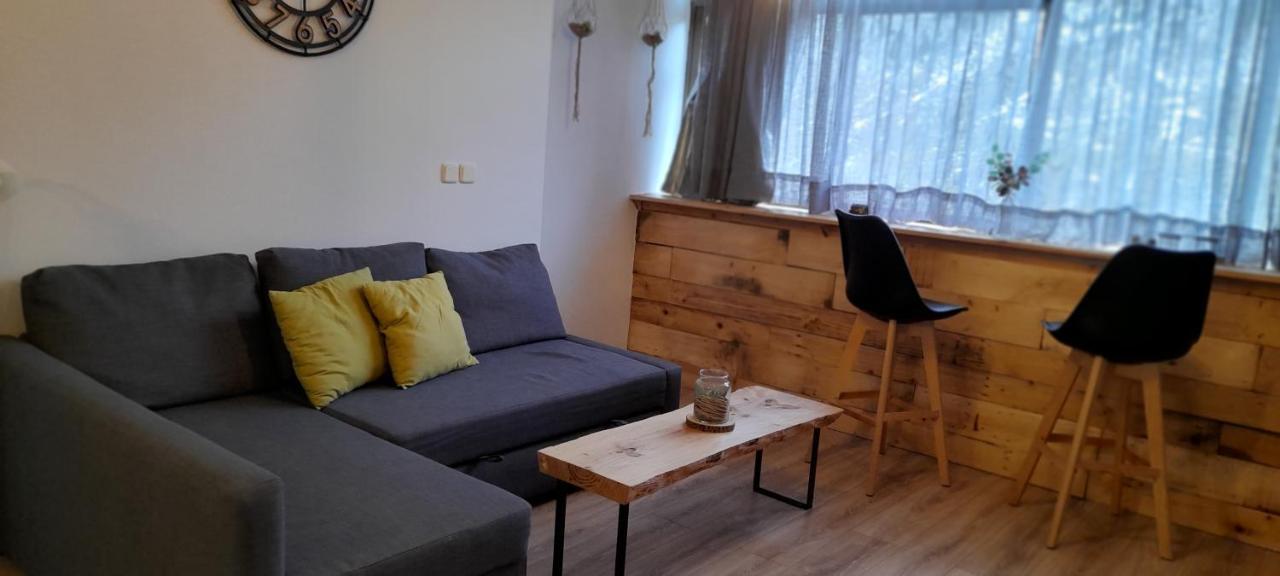 Apartamento El Sarrio Candanchú Exterior foto